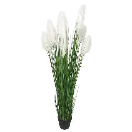 images/uploads/25062/thumb_24165 G.webp
